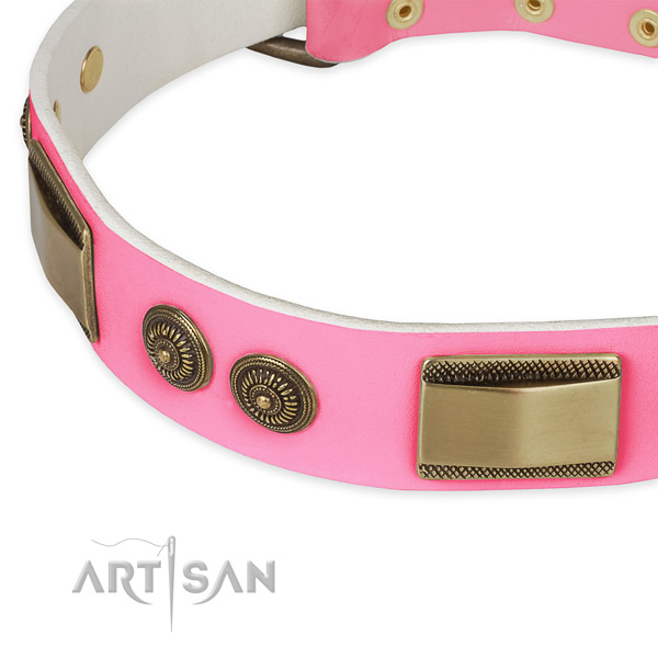 Full grain natural leather dog collar with adornments for everyday use