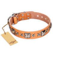 "Glamour Finery" FDT Artisan Female English Bulldog collar of natural leather with stylish old-looking circles "Glamour Finery" FDT Artisan Female English Bulldog collar of natural leather with stylish old-looking circles