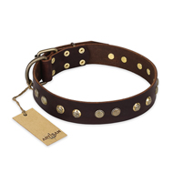 "Bronze Sheen" FDT Artisan Leather English Bulldog Collar with Brass-Plated Studs "Bronze Sheen" FDT Artisan Leather English Bulldog Collar with Brass-Plated Studs