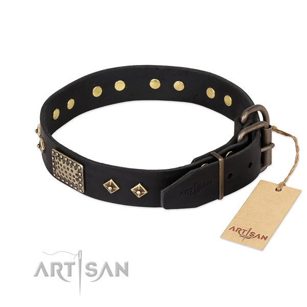 Leather dog collar with durable D-ring and studs