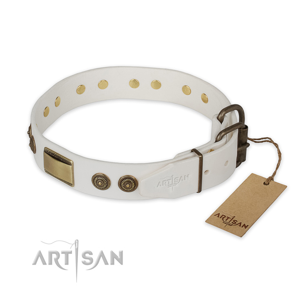Rust resistant fittings on leather collar for daily walking your doggie
