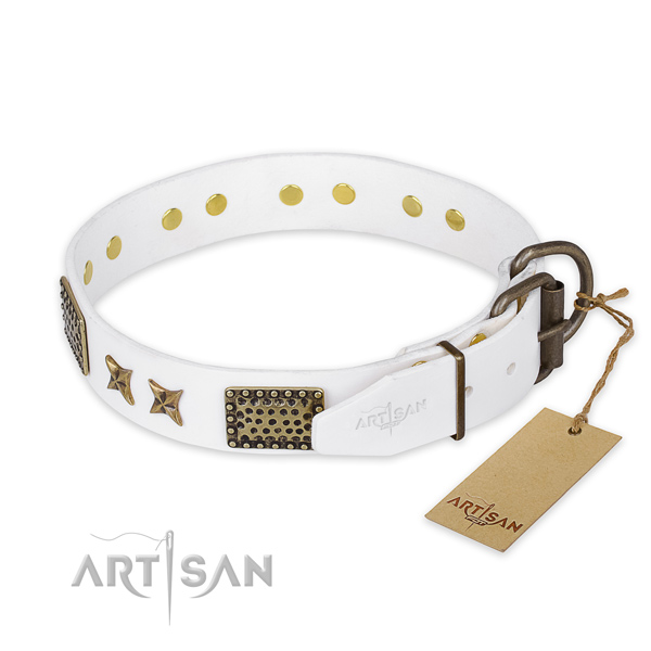Reliable traditional buckle on leather collar for your attractive pet