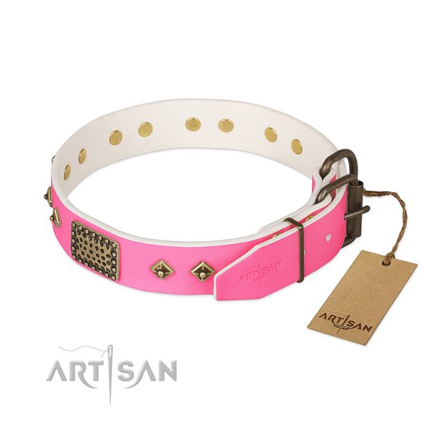Corrosion resistant hardware on easy wearing dog collar