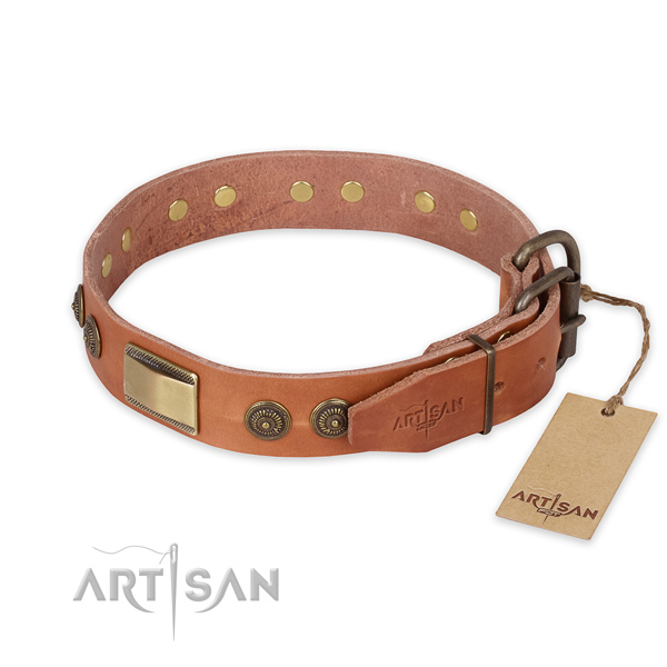 Rust-proof D-ring on full grain natural leather collar for basic training your pet