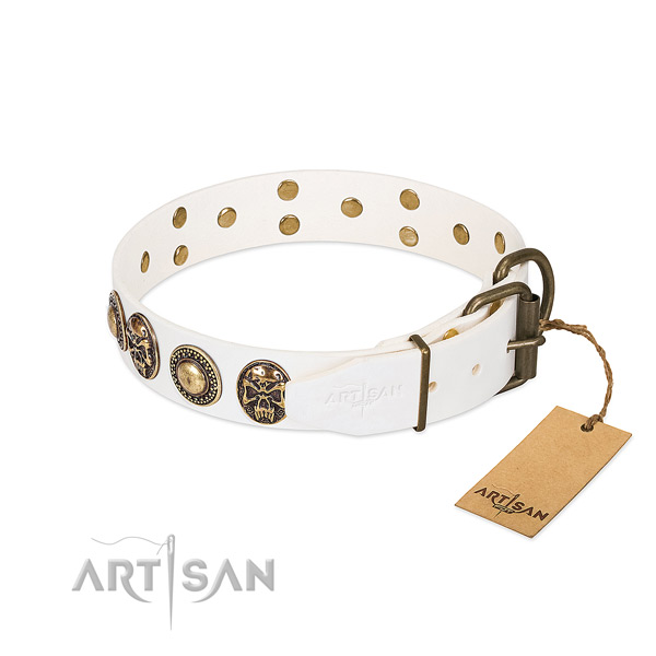 Strong buckle on stylish walking dog collar