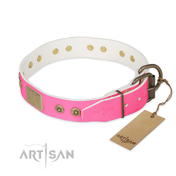 Reliable traditional buckle on daily walking dog collar