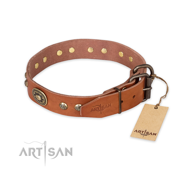 Corrosion resistant traditional buckle on full grain genuine leather collar for walking your dog