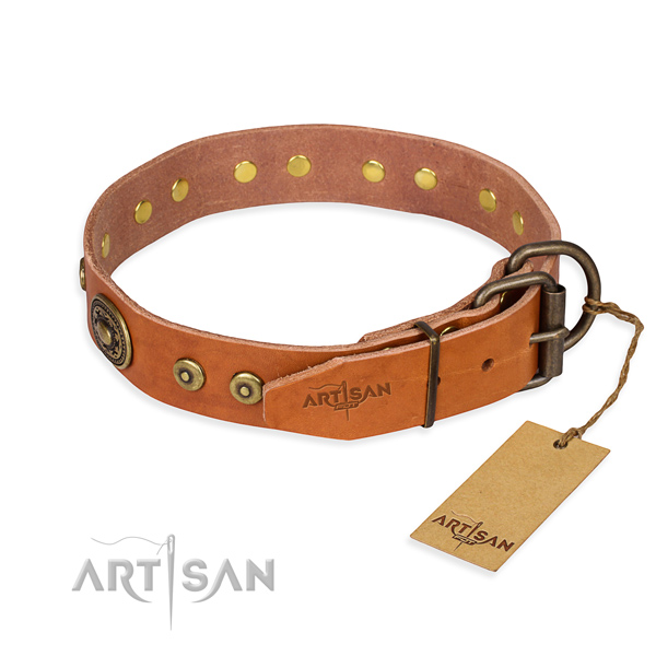 Leather dog collar made of top rate material with reliable decorations