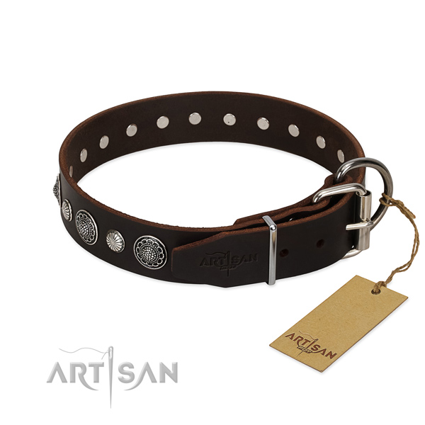 Fine quality full grain natural leather dog collar with top notch embellishments