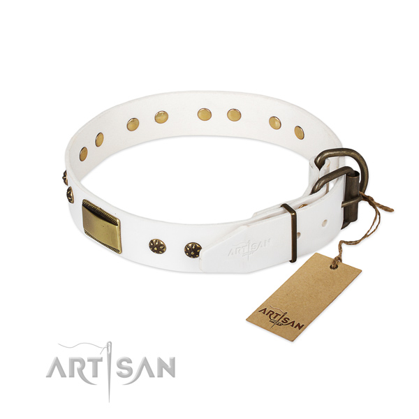 Full grain leather dog collar with durable traditional buckle and adornments