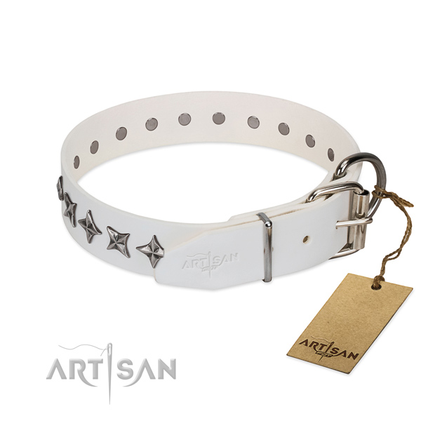 Everyday walking studded dog collar of best quality genuine leather