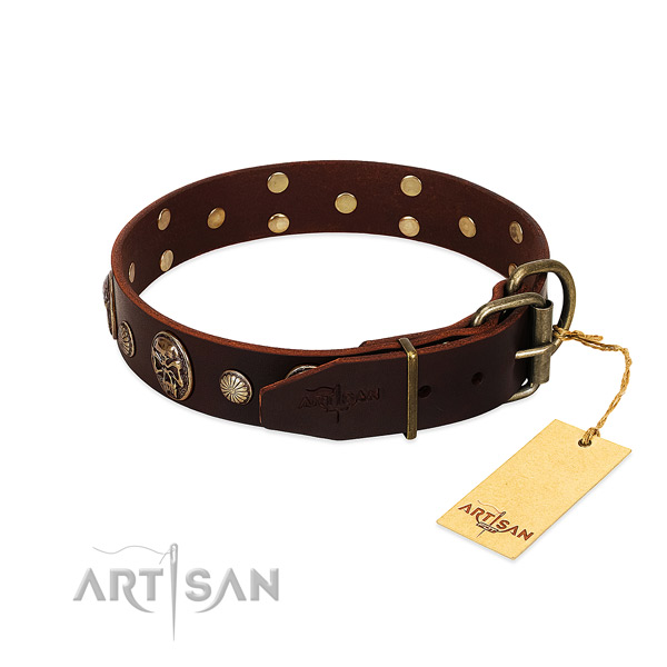 Corrosion proof D-ring on walking dog collar