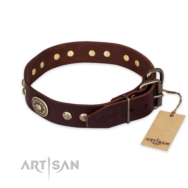 Reliable buckle on full grain natural leather collar for fancy walking your dog