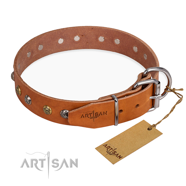 Full grain natural leather dog collar with significant strong adornments