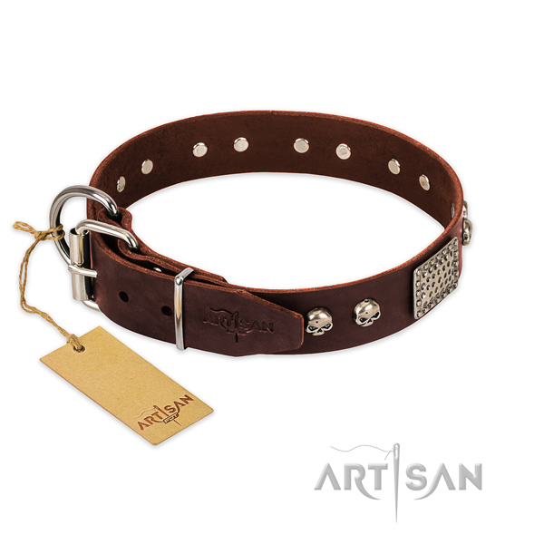 Strong D-ring on everyday use dog collar