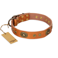 "Dandy Pet" FDT Artisan Handcrafted Tan Leather English Bulldog Collar "Dandy Pet" FDT Artisan Handcrafted Tan Leather English Bulldog Collar
