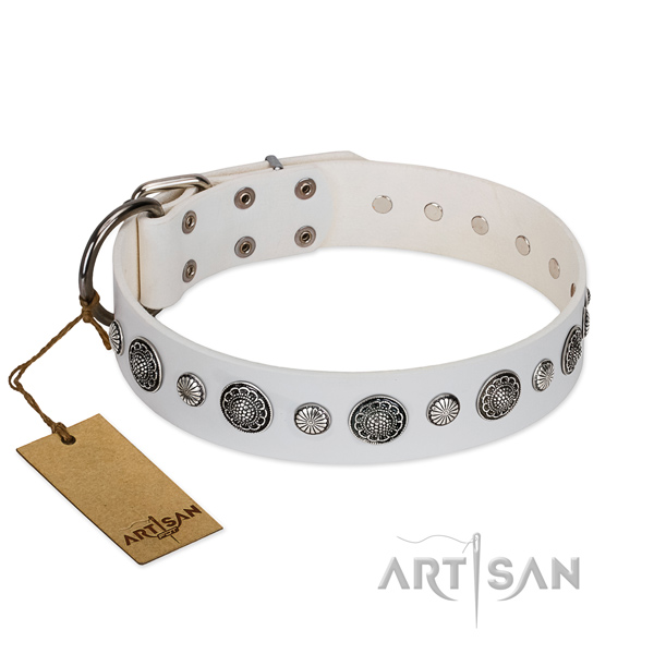 Reliable full grain leather dog collar with rust-proof D-ring