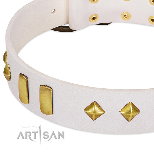 Comfy wearing natural leather dog collar with fashionable adornments