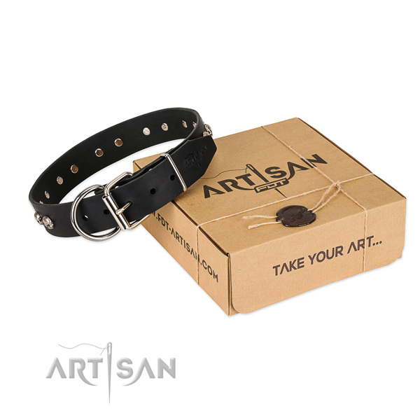 Corrosion resistant studs on dog collar for comfortable wearing