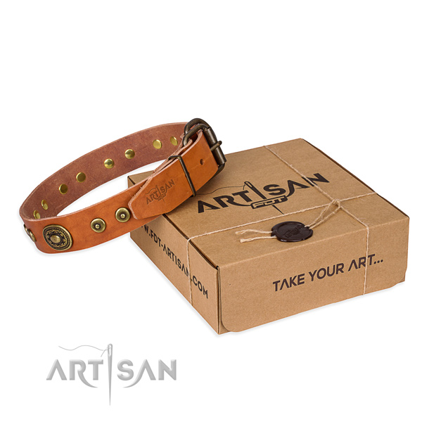 Leather dog collar made of quality material with reliable buckle