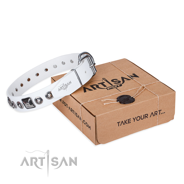 Soft full grain leather dog collar crafted for fancy walking