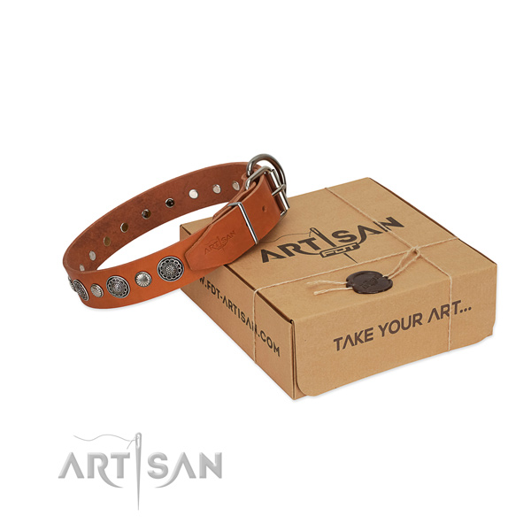 Leather collar with corrosion proof traditional buckle for your handsome four-legged friend