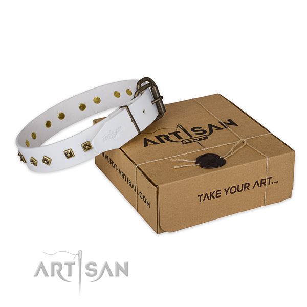 Corrosion resistant traditional buckle on full grain leather dog collar for comfy wearing