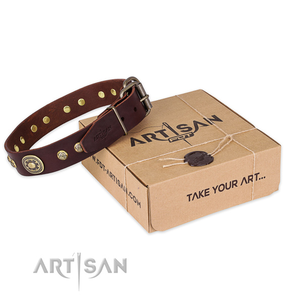 Reliable buckle on natural leather dog collar for stylish walking