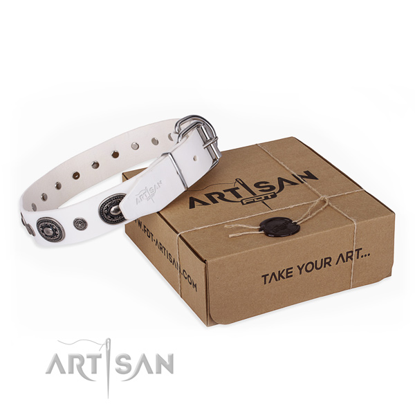 High quality genuine leather dog collar created for everyday walking