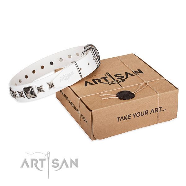 Everyday use full grain leather dog collar with studs