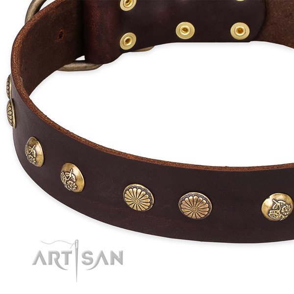 Full grain natural leather collar with corrosion proof hardware for your lovely pet