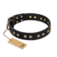 "Black Elegance" FDT Artisan Leather English Bulldog Collar with Round Studs "Black Elegance" FDT Artisan Leather English Bulldog Collar with Round Studs