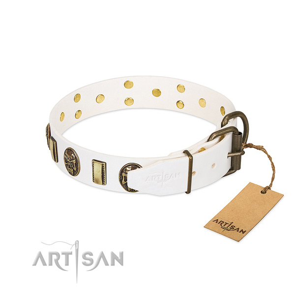 Strong fittings on full grain leather collar for fancy walking your doggie