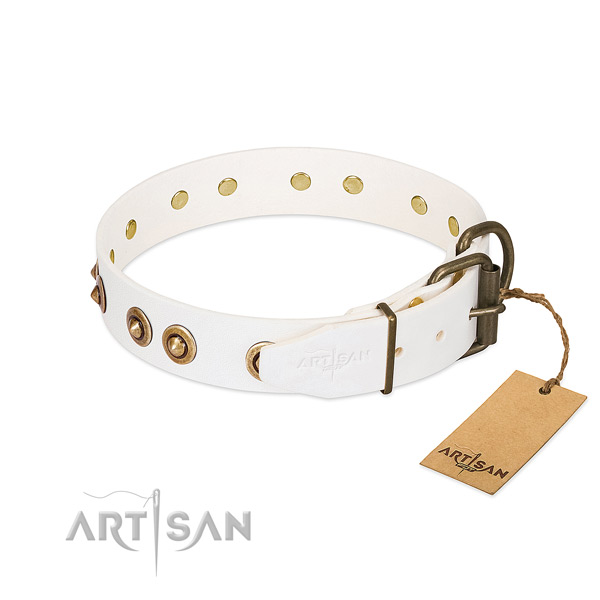 Corrosion proof decorations on leather dog collar for your pet