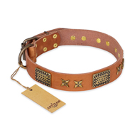 "Cosmic Traveller" FDT Artisan Adorned Leather English Bulldog Collar with Old Bronze-Plated Stars and Plates "Cosmic Traveller" FDT Artisan Adorned Leather English Bulldog Collar with Old Bronze-Plated Stars and Plates