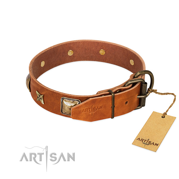 Full grain natural leather dog collar with reliable buckle and embellishments