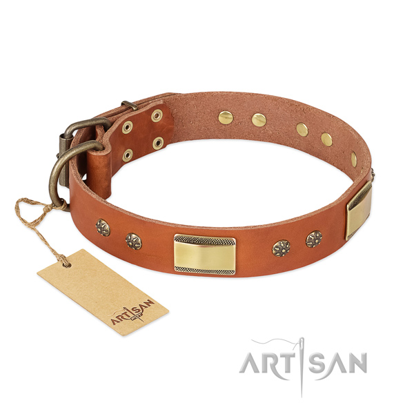 Adorned genuine leather collar for your doggie