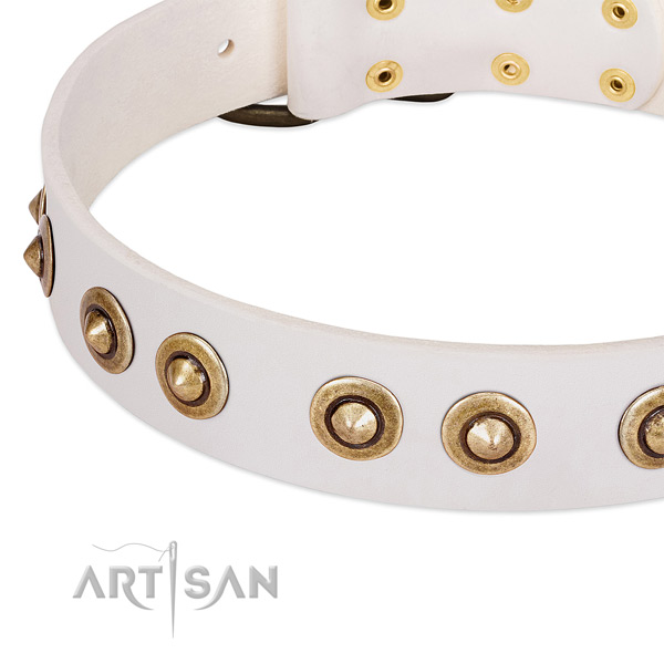 Corrosion resistant decorations on full grain leather dog collar for your pet
