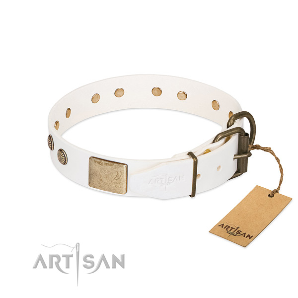 Reliable adornments on comfy wearing dog collar