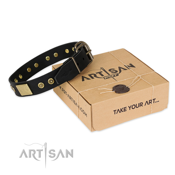 Rust-proof hardware on full grain natural leather dog collar for daily use