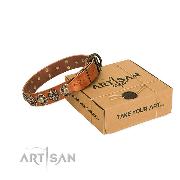 Reliable decorations on dog collar for daily walking