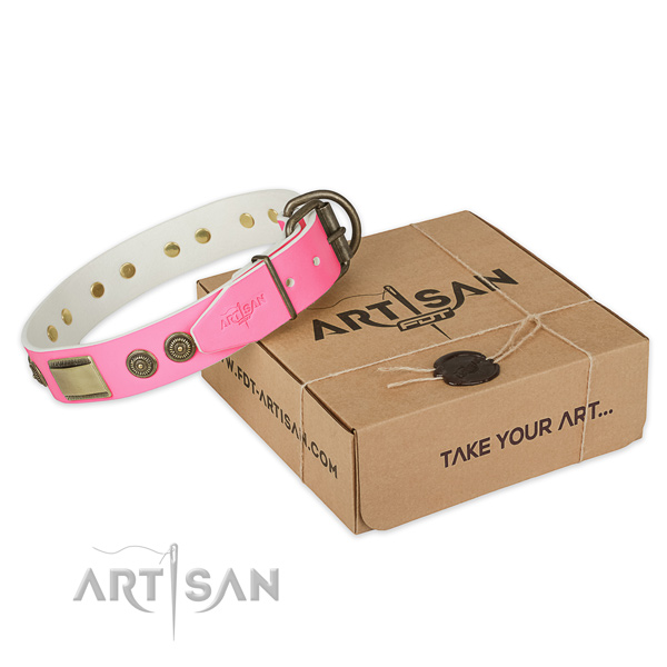 Rust-proof D-ring on dog collar for walking