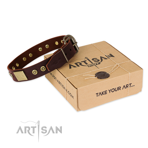 Rust-proof D-ring on dog collar for walking