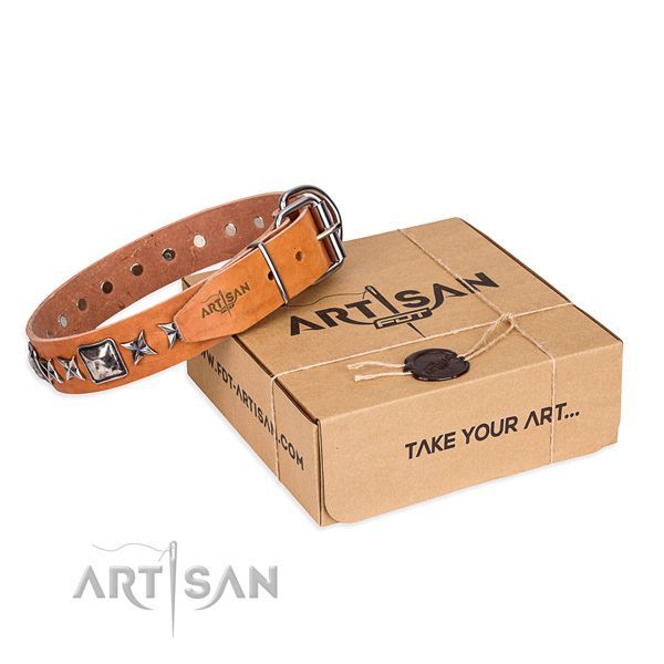 Everyday walking full grain natural leather dog collar with adornments