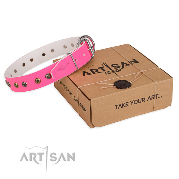 Daily walking dog collar with Inimitable durable decorations