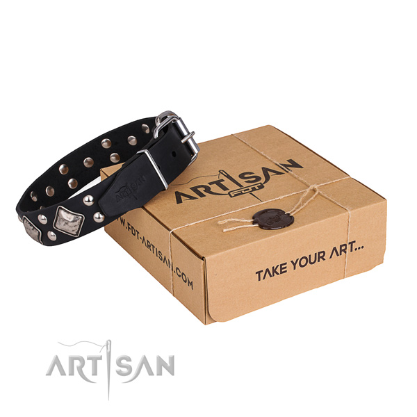Daily walking dog collar with Inimitable durable decorations