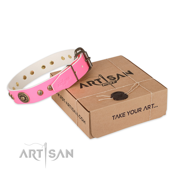 Durable hardware on full grain natural leather dog collar for walking