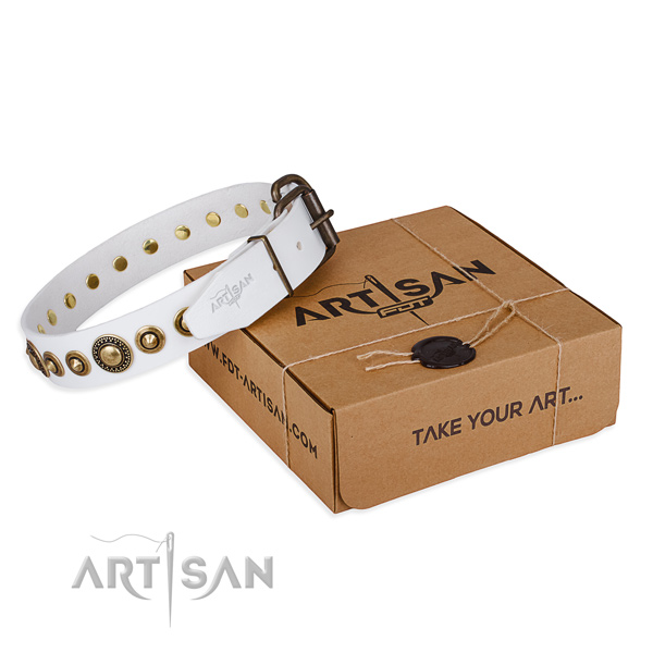 Soft to touch genuine leather dog collar handcrafted for everyday walking