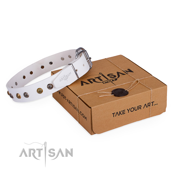 Everyday walking dog collar with Trendy durable studs