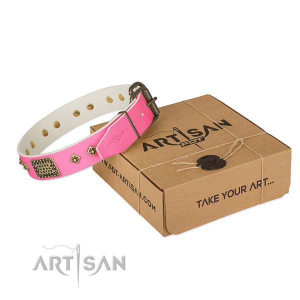 Corrosion proof traditional buckle on dog collar for daily walking